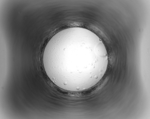 X0000098190359200804241056