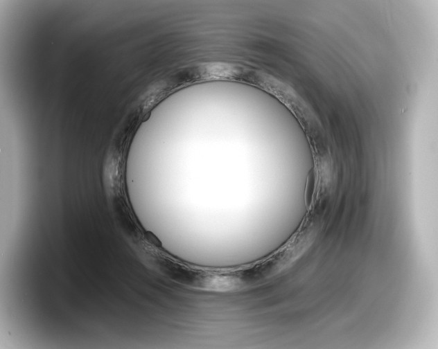 X0000098190360200804241056