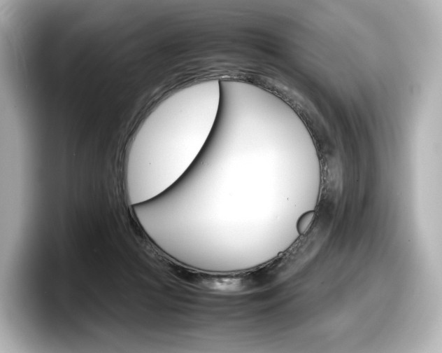 X0000098190361200804241056