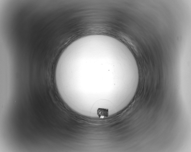 X0000098190362200804241056