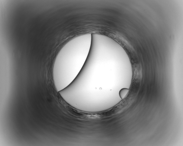 X0000098190363200804241056
