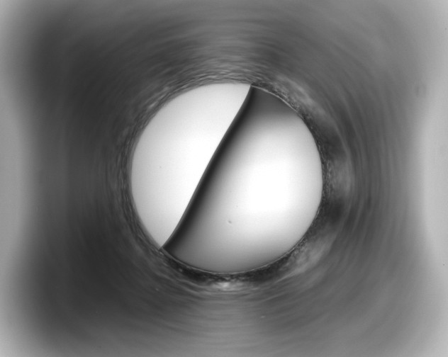 X0000098190364200804241056