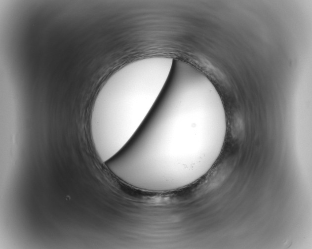 X0000098190366200804241056