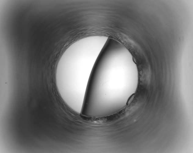 X0000098190368200804241056