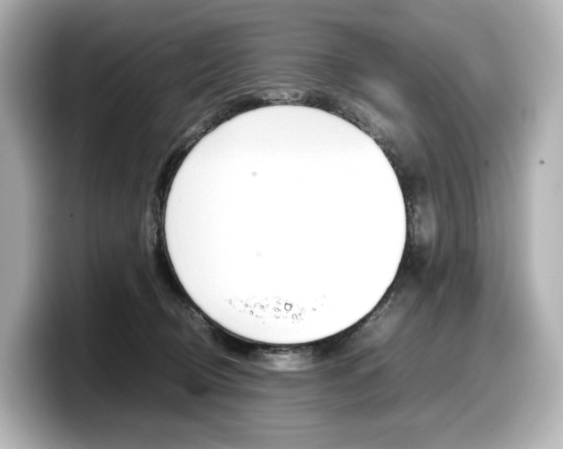 X0000098190370200804241056
