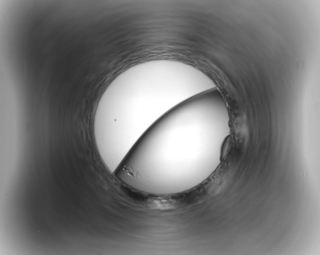 X0000098190372200804241056