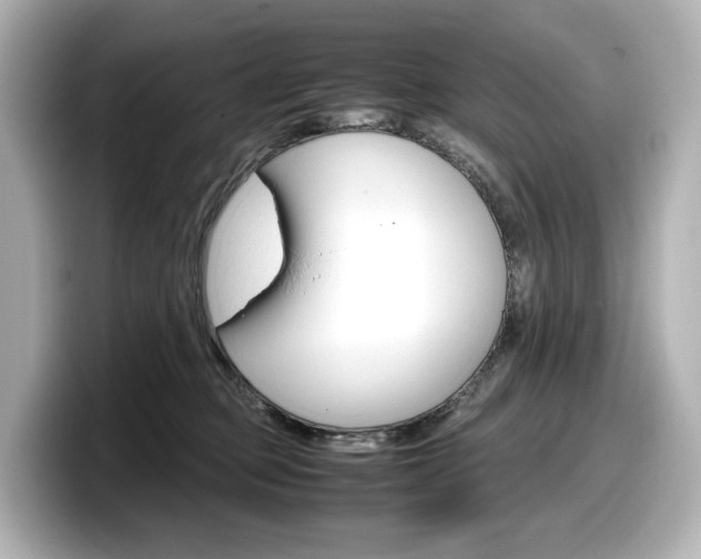 X0000098190373200804241056