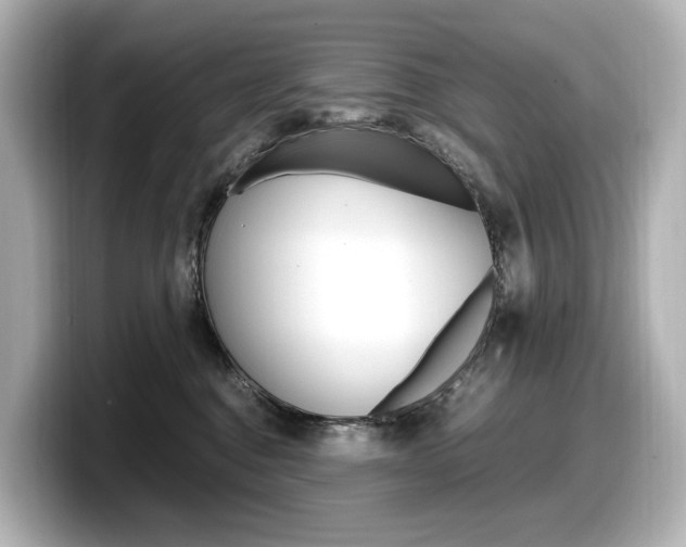 X0000098190376200804241056