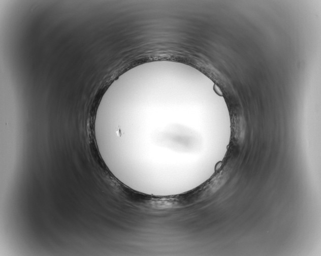 X0000098190378200804241056