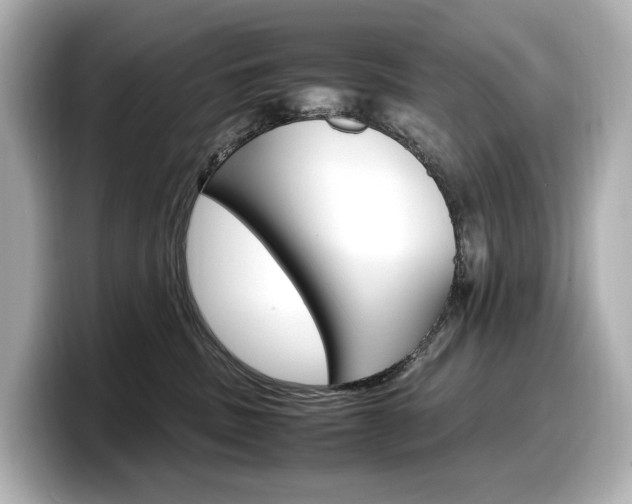 X0000098190379200804241056