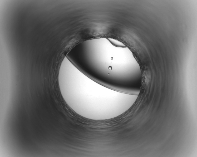 X0000098190380200804241056