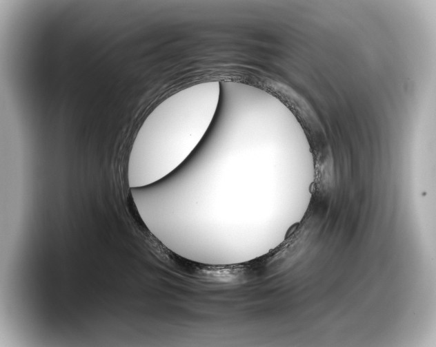 X0000098190381200804241056