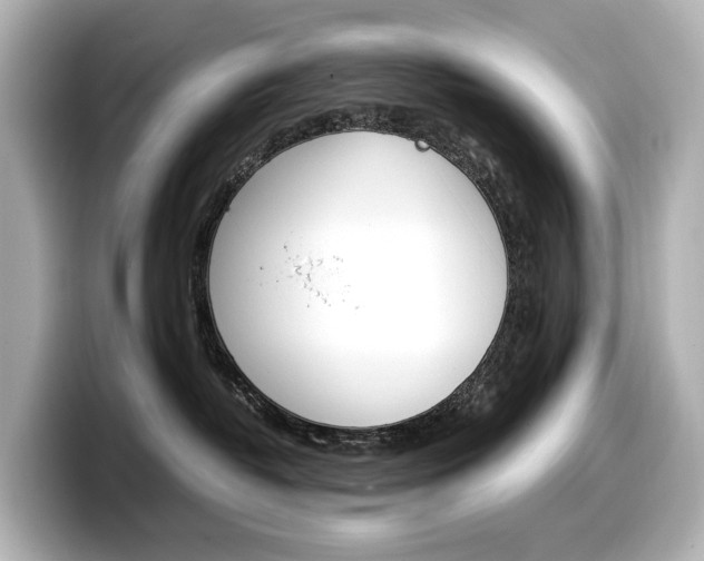 X0000098190382200804241056