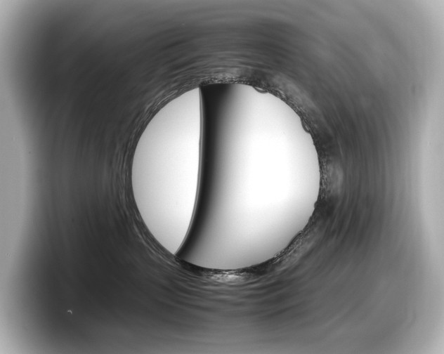 X0000098190383200804241056