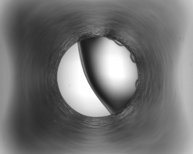 X0000098190384200804241056