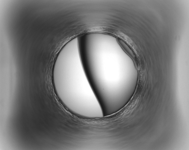 X0000098190385200804241055