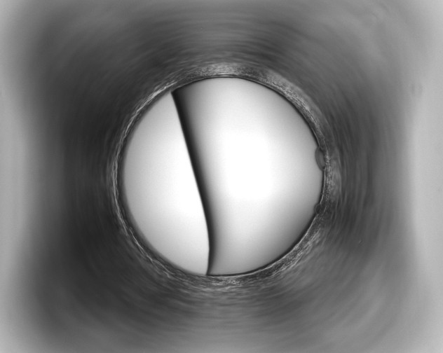 X0000098190386200804241055