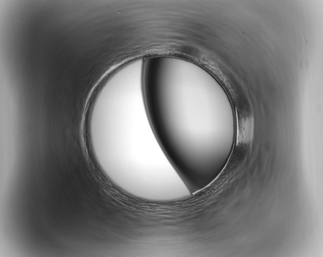 X0000098190387200804241055