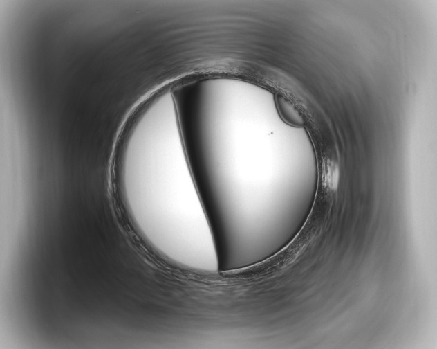 X0000098190388200804241055