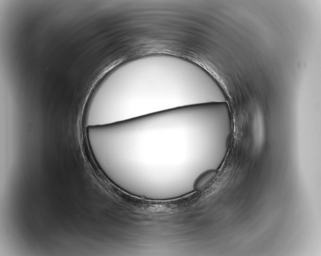 X0000098190390200804241055