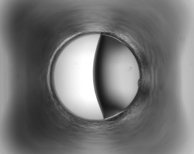 X0000098190391200804241055
