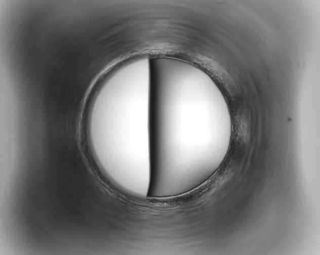 X0000098190392200804241055