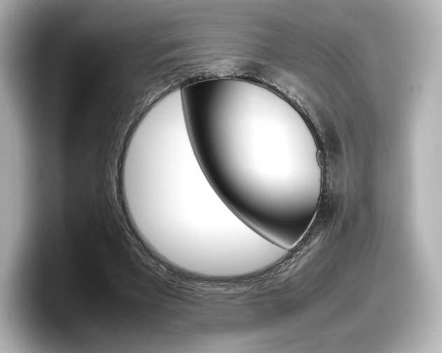 X0000098190393200804241055