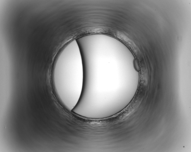 X0000098190394200804241055