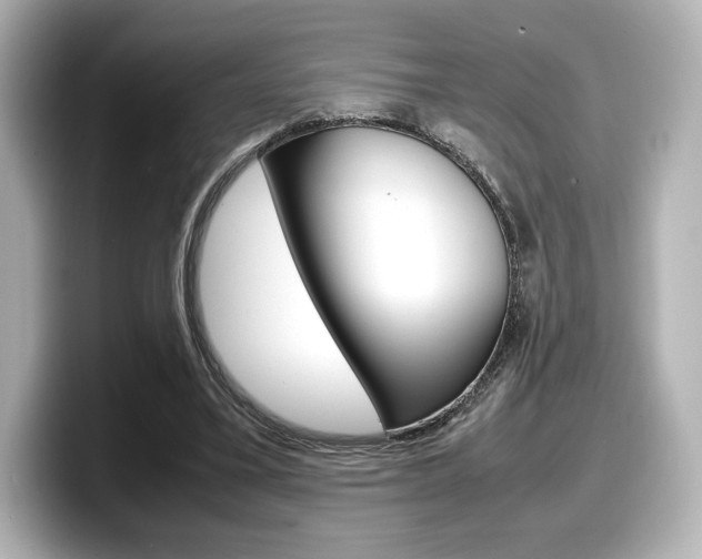 X0000098190395200804241055