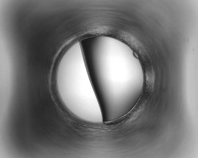 X0000098190396200804241055