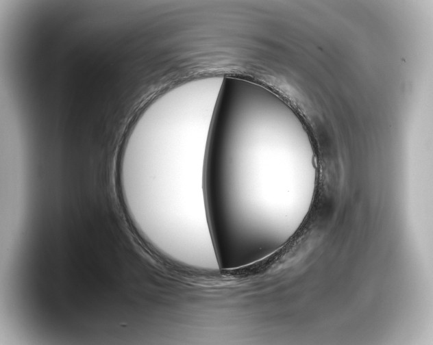 X0000098190397200804241055