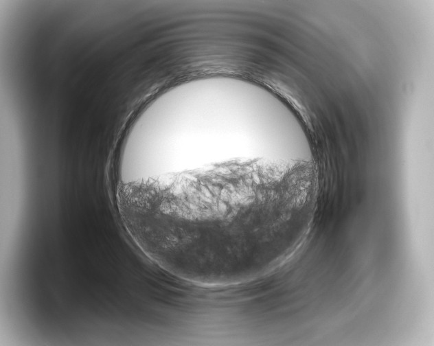 X0000098190398200804241055