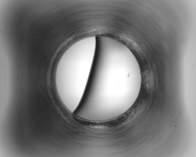 X0000098190400200804241055