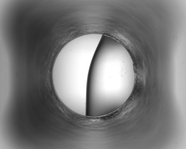 X0000098190401200804241055