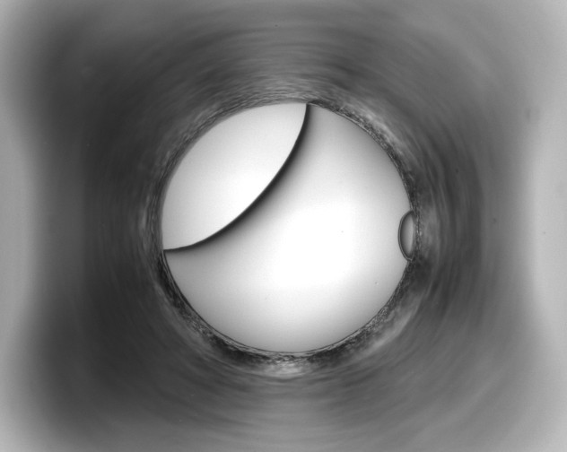 X0000098190402200804241055