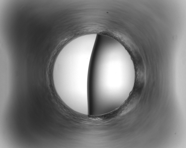 X0000098190403200804241055