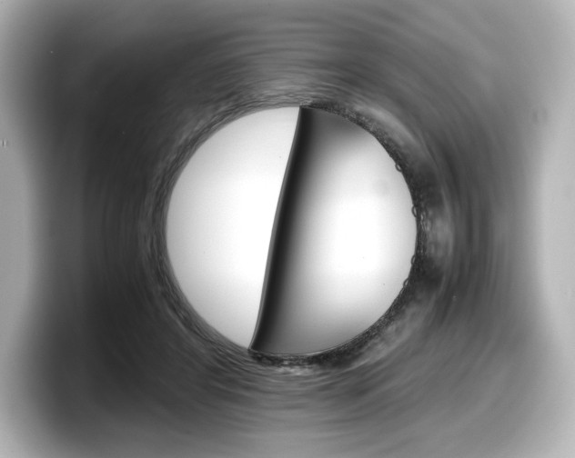 X0000098190404200804241055