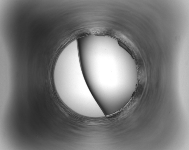 X0000098190405200804241055