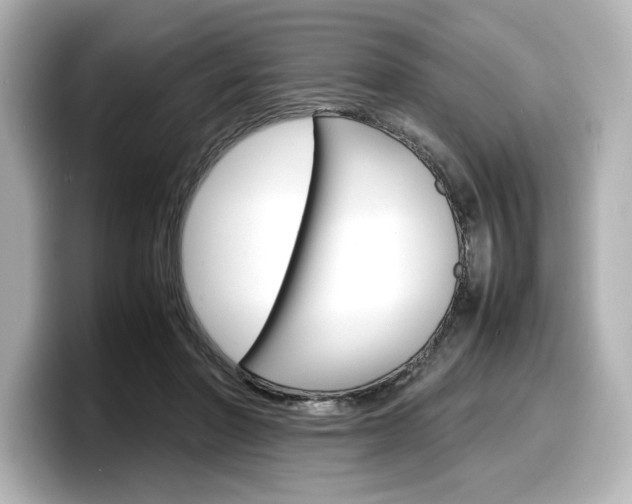 X0000098190406200804241055