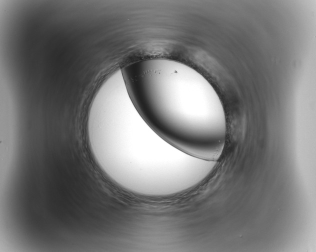 X0000098190407200804241055