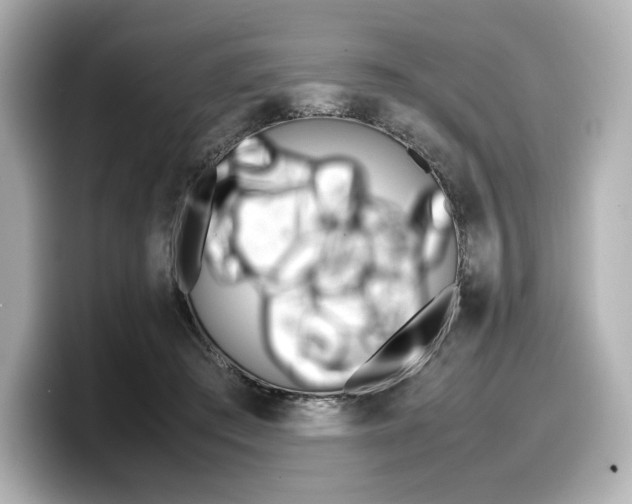 X0000098190409200804241055