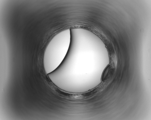 X0000098190410200804241055