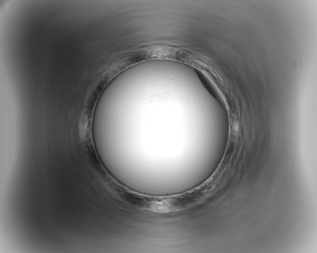 X0000098190411200804241055