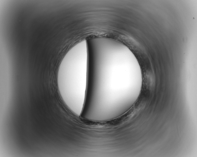 X0000098190412200804241055