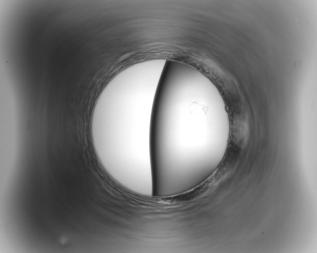 X0000098190413200804241055