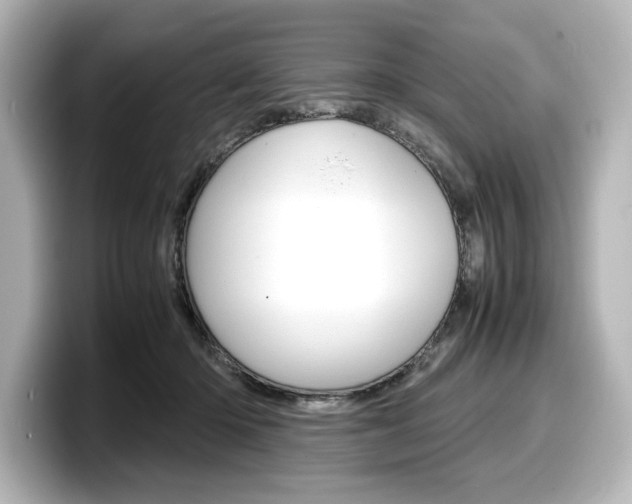 X0000098190414200804241055