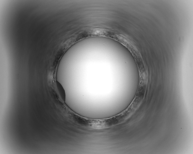 X0000098190415200804241055