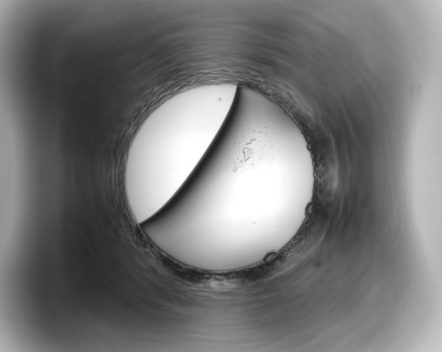 X0000098190416200804241055