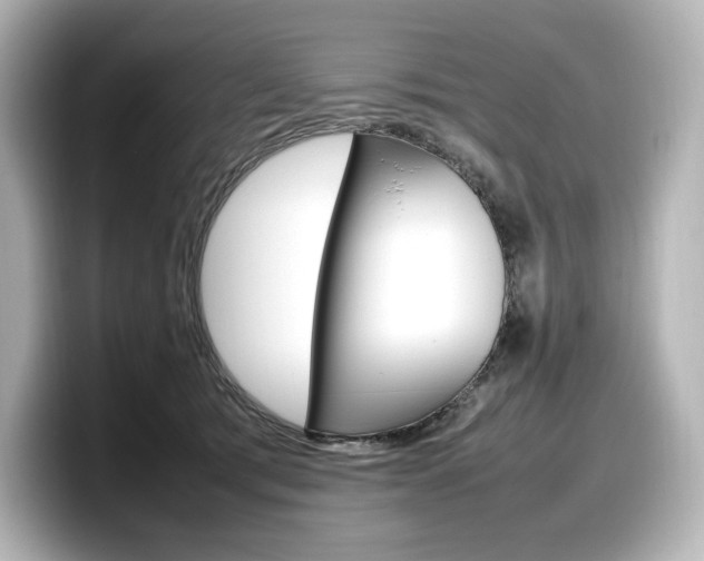 X0000098190417200804241055