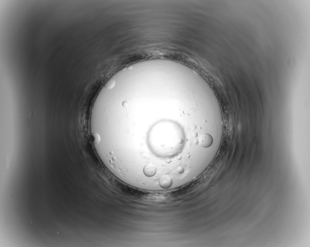 X0000098190418200804241055